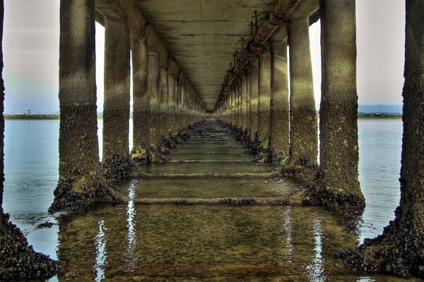 Traveling on this bridge, I want to make a wish