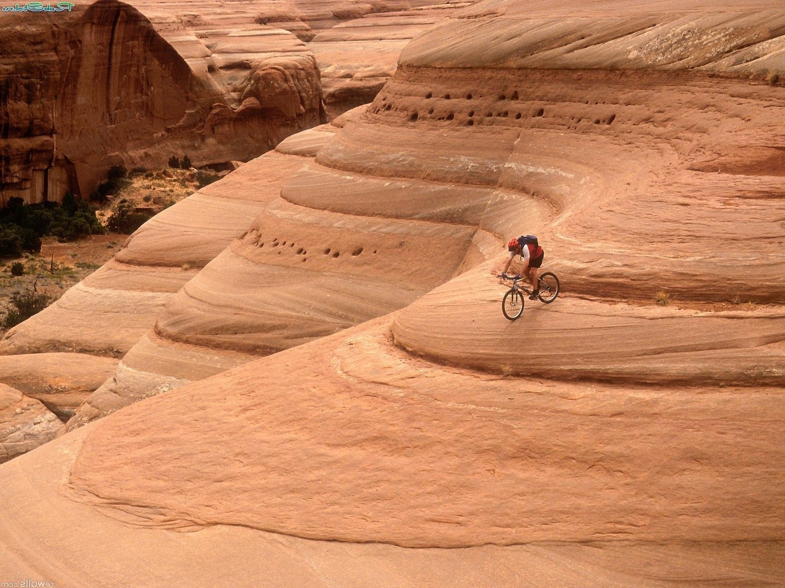 bisiklete binme çöl seyahat açık havada kum bir macera tatil yetişkin manzara arid