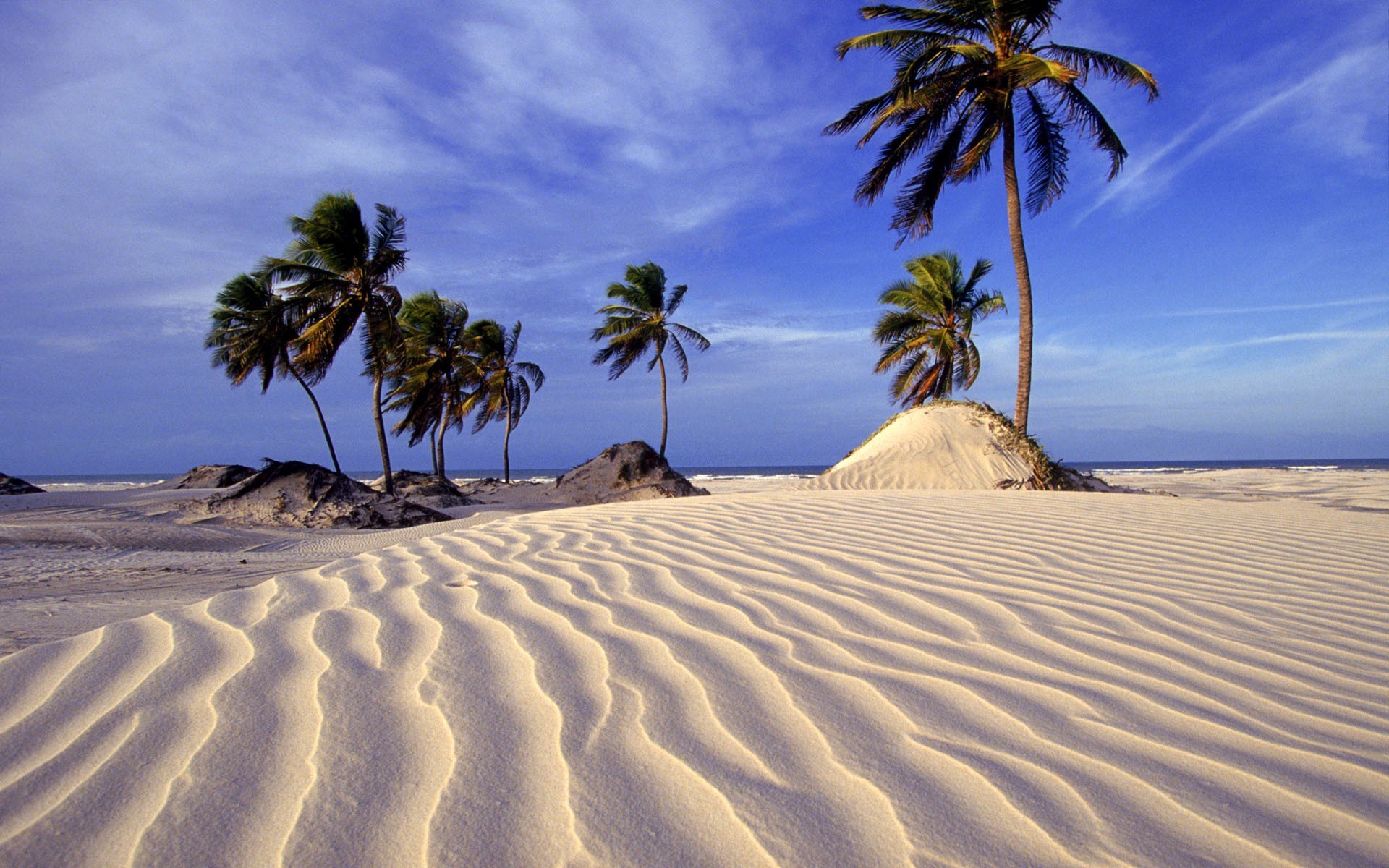 arbres sable plage mer océan île station balnéaire voyage vacances soleil chaud tropical paysage été chaleur beau temps idylle paumes détente