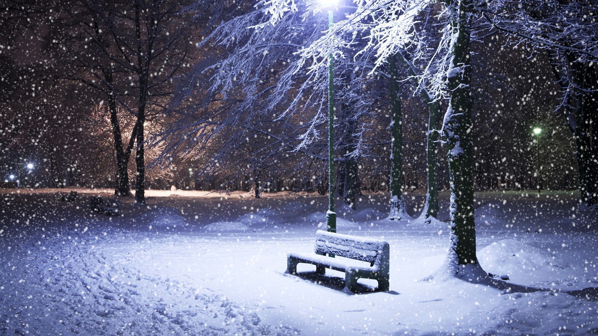 winter schnee kälte gefroren frost eis baum wetter saison schneesturm landschaft holz schnee-weiß frostig eisig licht natur im freien