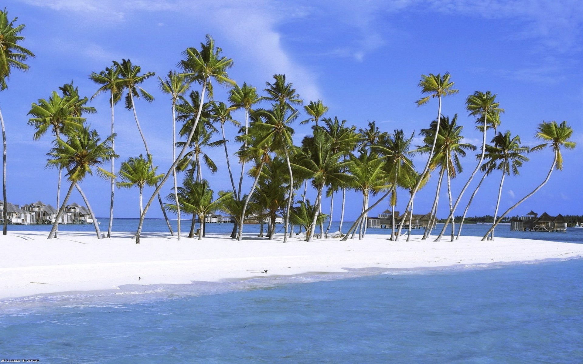 mer et océan plage tropical station balnéaire mer sable océan île palm vacances noix de coco paradis idylle paysage exotique arbre voyage détente eau soleil