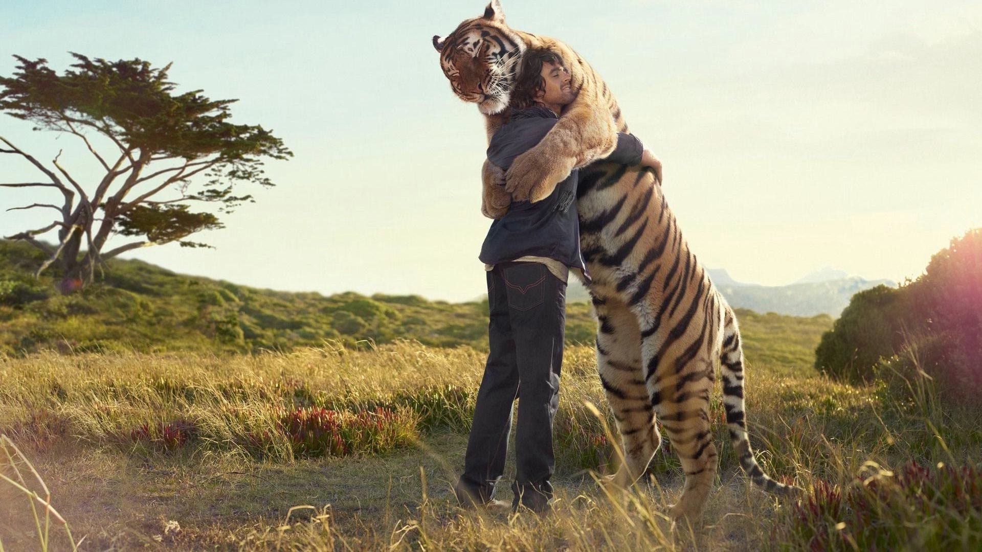 animais mamífero natureza ao ar livre grama vida selvagem safari um dois