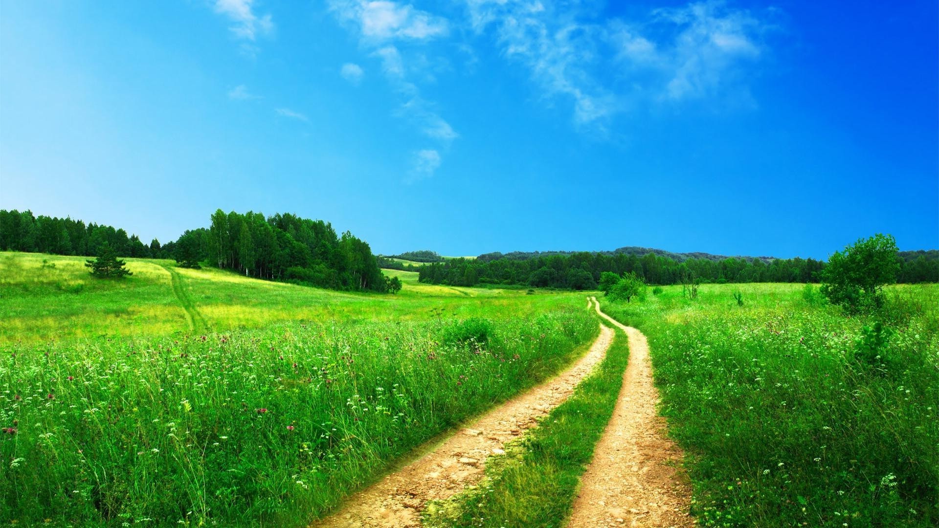 verão rural paisagem grama campo campo agricultura natureza feno céu país ao ar livre solo pasto fazenda horizonte crescimento árvore bom tempo