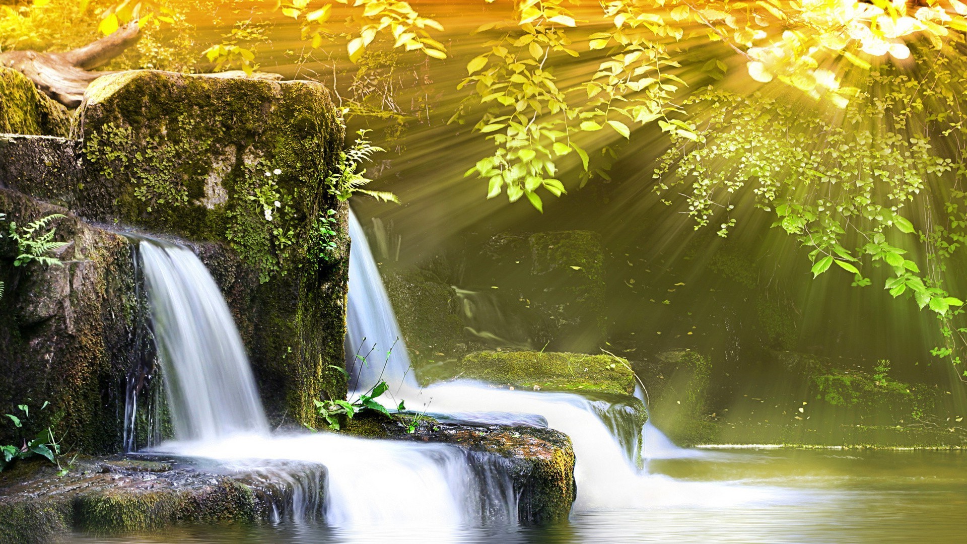 wodospady wodospad woda jesień liść natura rzeka strumień kaskada na zewnątrz rozmycie strumień lato mokra podróż ruch splash wood park creek