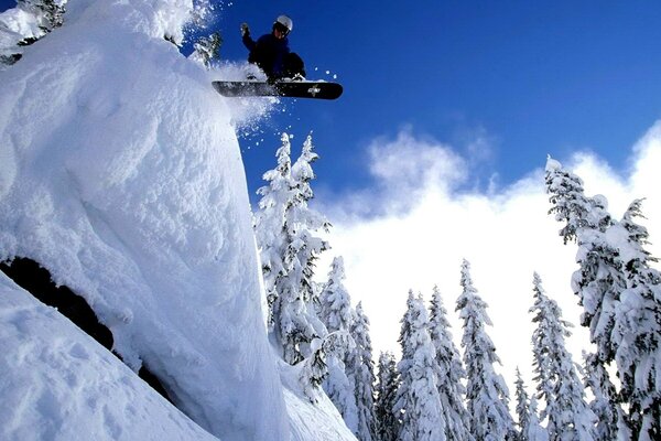 Snowboarder fait un vol à travers l épinette de la montagne