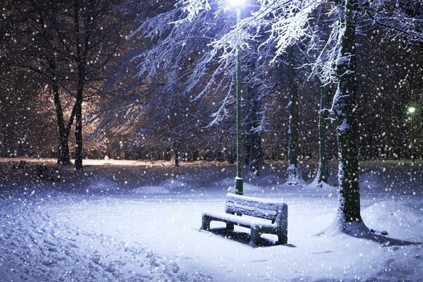 Panchina invernale nel parco notturno