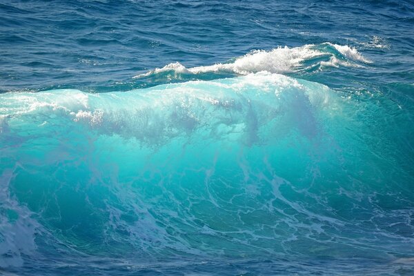 Vague océanique. Surf marin