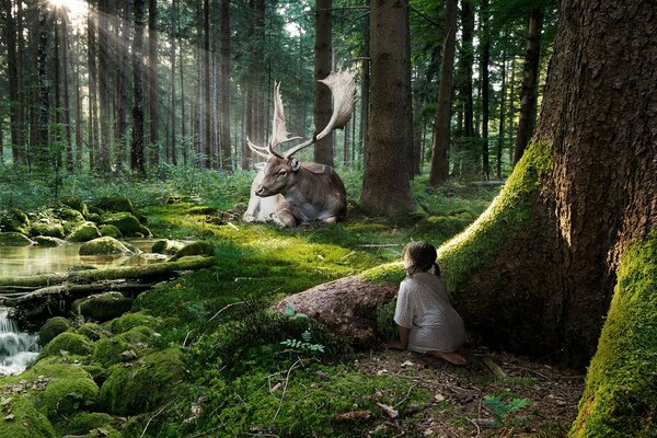 A girl and a deer in the forest thicket