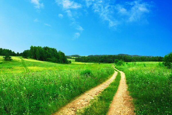 A rural road runs through a field