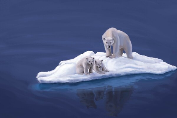 Les ours polaires nagent sur la banquise