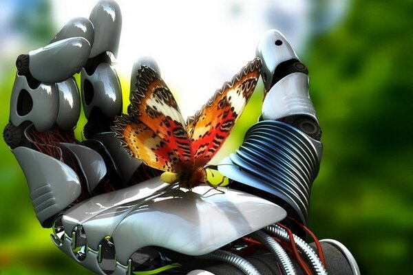 Butterfly smdit on the robot arm