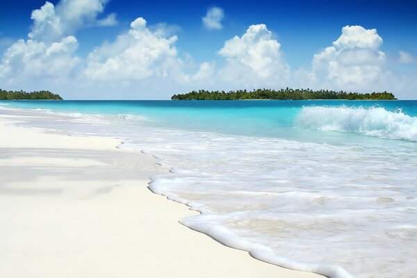 La mousse marine de la mer bleue roule sur le rivage sablonneux