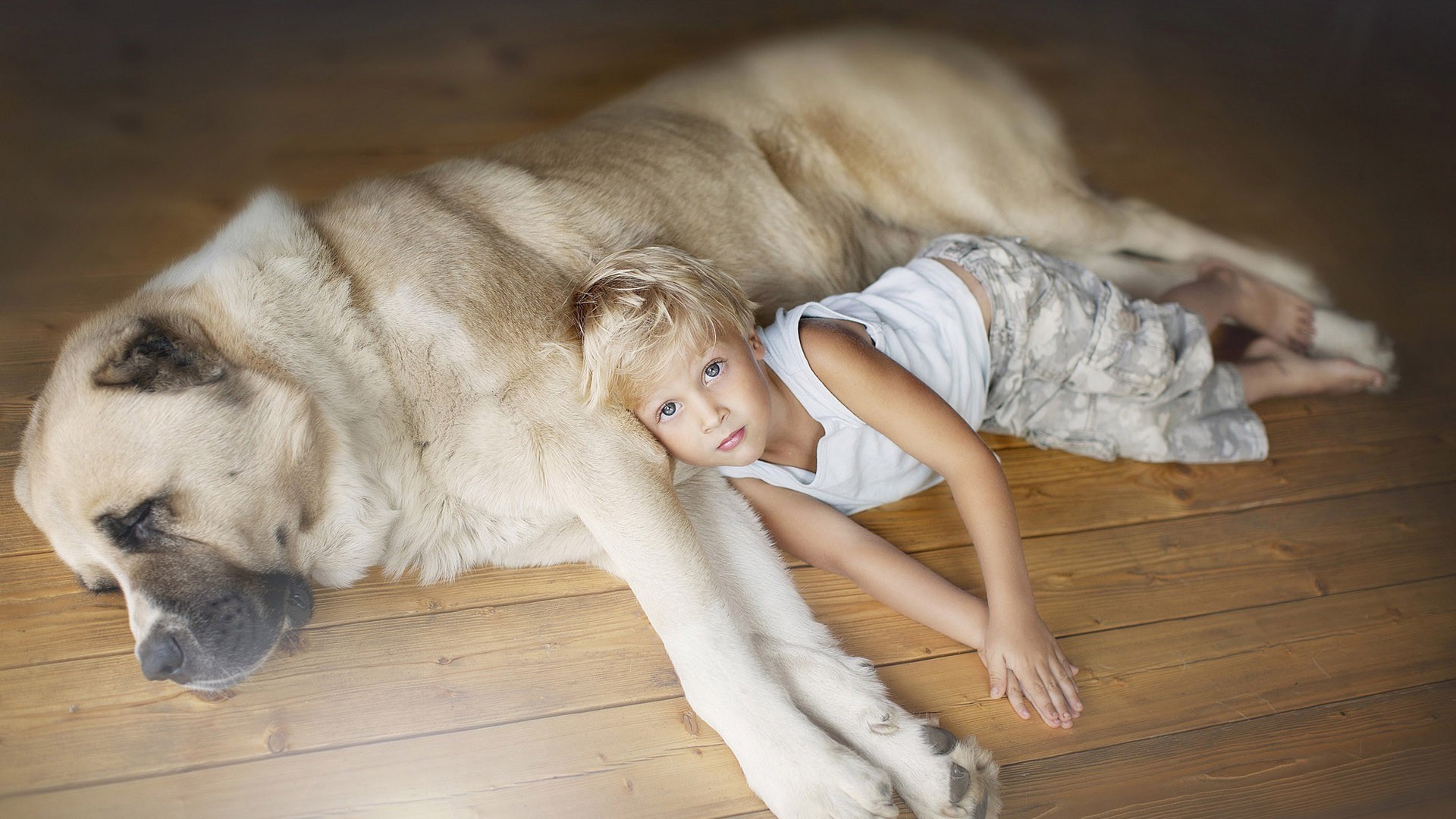 bambini con animali carino ritratto cane da solo mammifero anteprima donna al coperto giovane