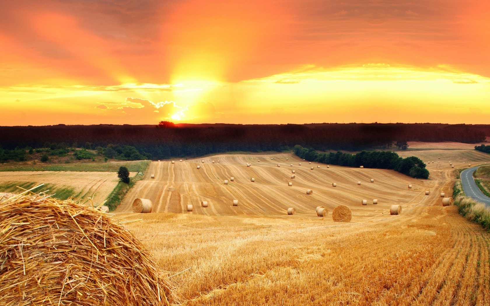 pôr do sol e amanhecer trigo pôr do sol rural céu palha cereais campo sol feno natureza agricultura ao ar livre amanhecer paisagem pasto verão noite bom tempo centeio