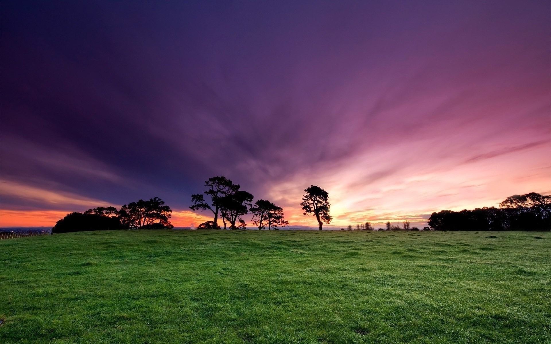 pôr do sol e amanhecer grama pôr do sol paisagem sol céu natureza verão amanhecer campo ao ar livre bom tempo