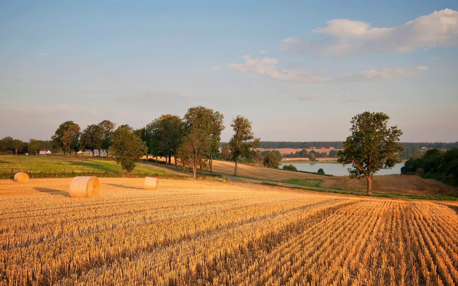 lake agriculture cropland outdoors farm rural field wheat countryside landscape crop pasture tree cereal nature sky daylight farmland growth soil