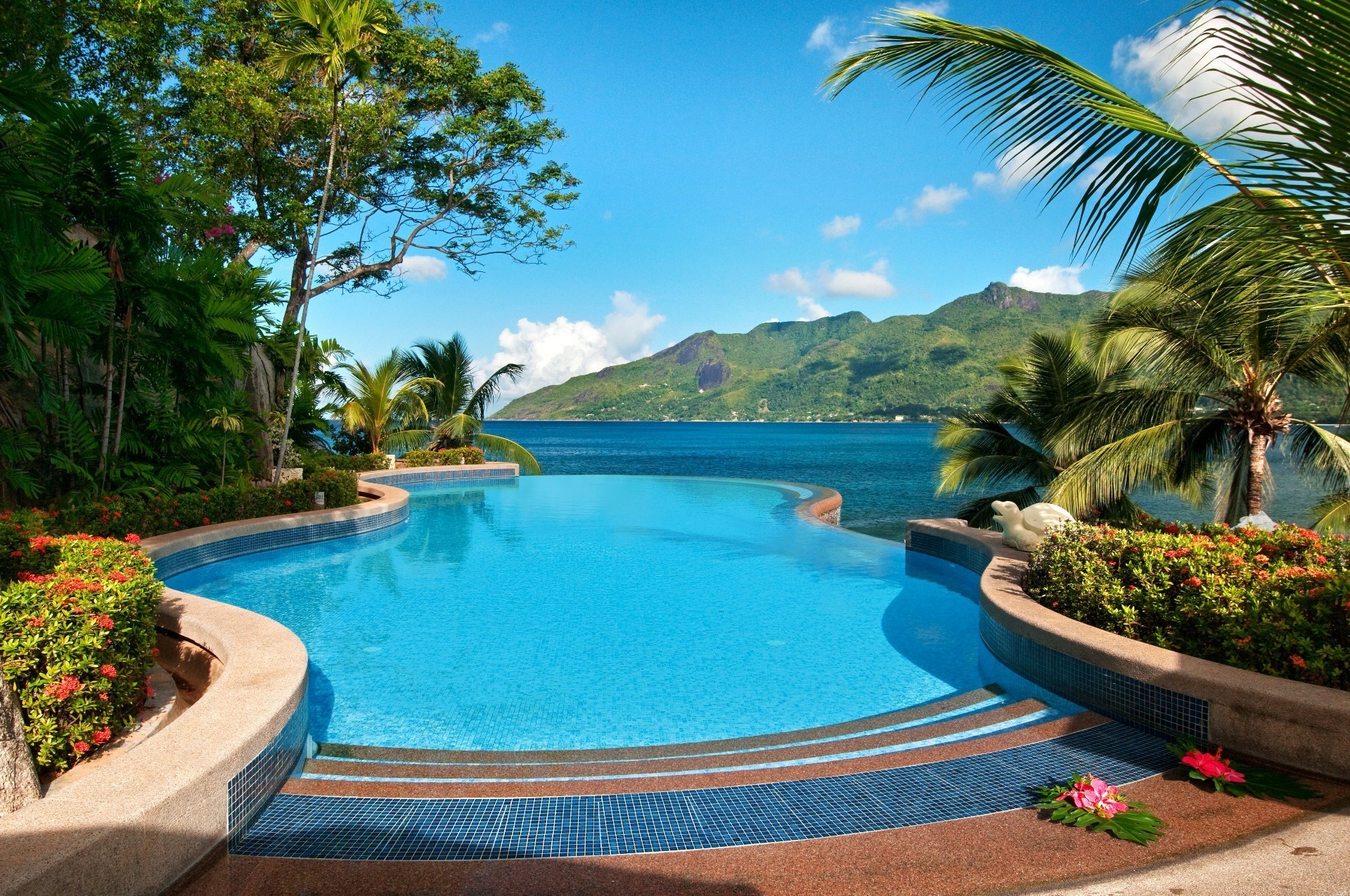 pools swimming pool pool hotel swimming resort luxury poolside tropical water vacation travel summer chair palm relaxation villa beach tree island