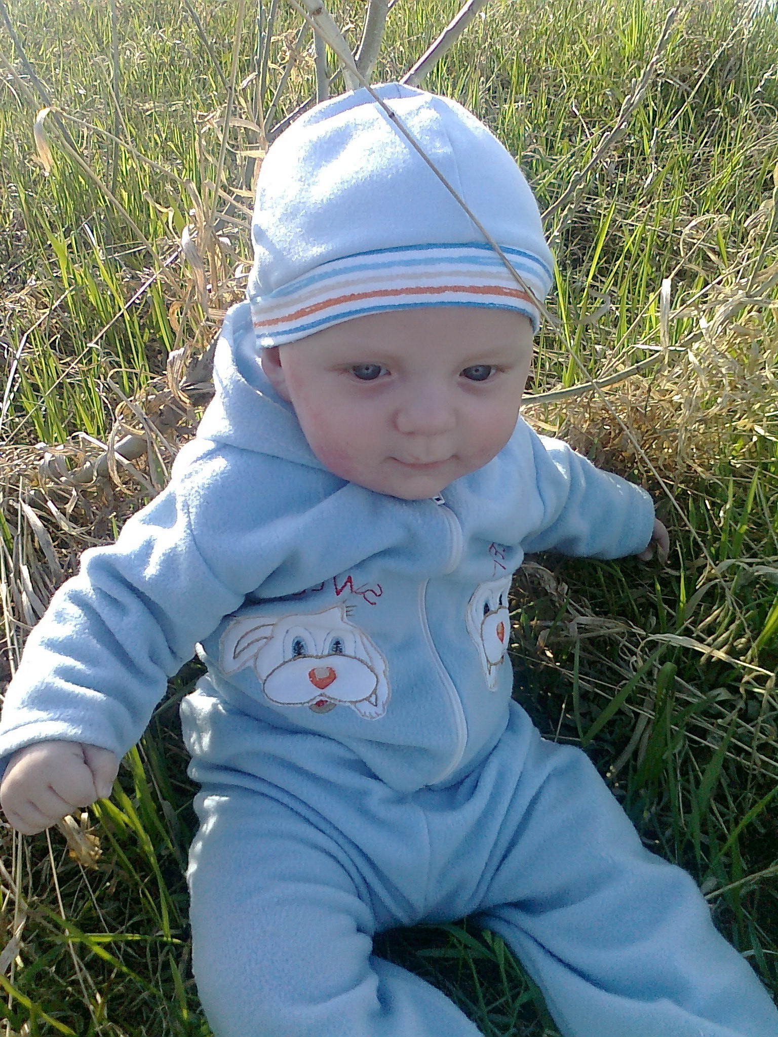 bebés bebé niño hierba pequeño niño placer niña naturaleza al aire libre lindo sonrisa verano niño parque felicidad cara retrato juventud heno