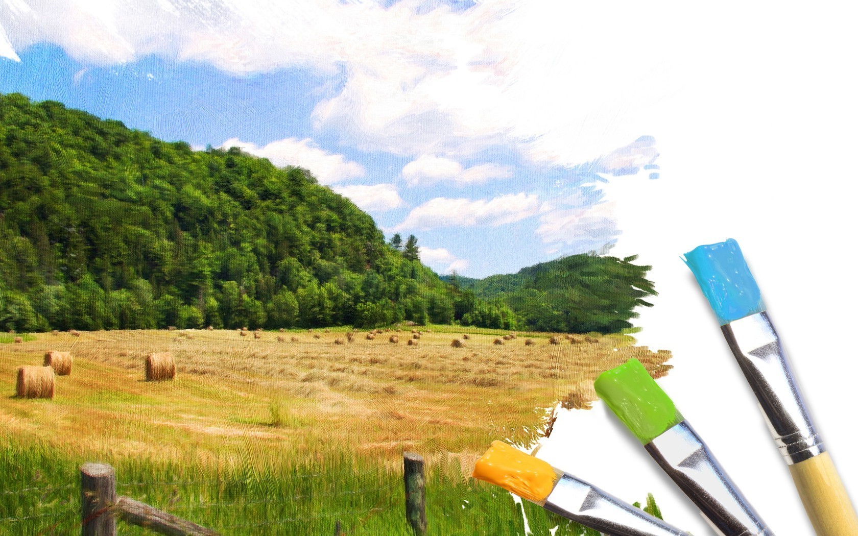 kontraste im freien holz natur gras holz himmel sommer tageslicht landschaft