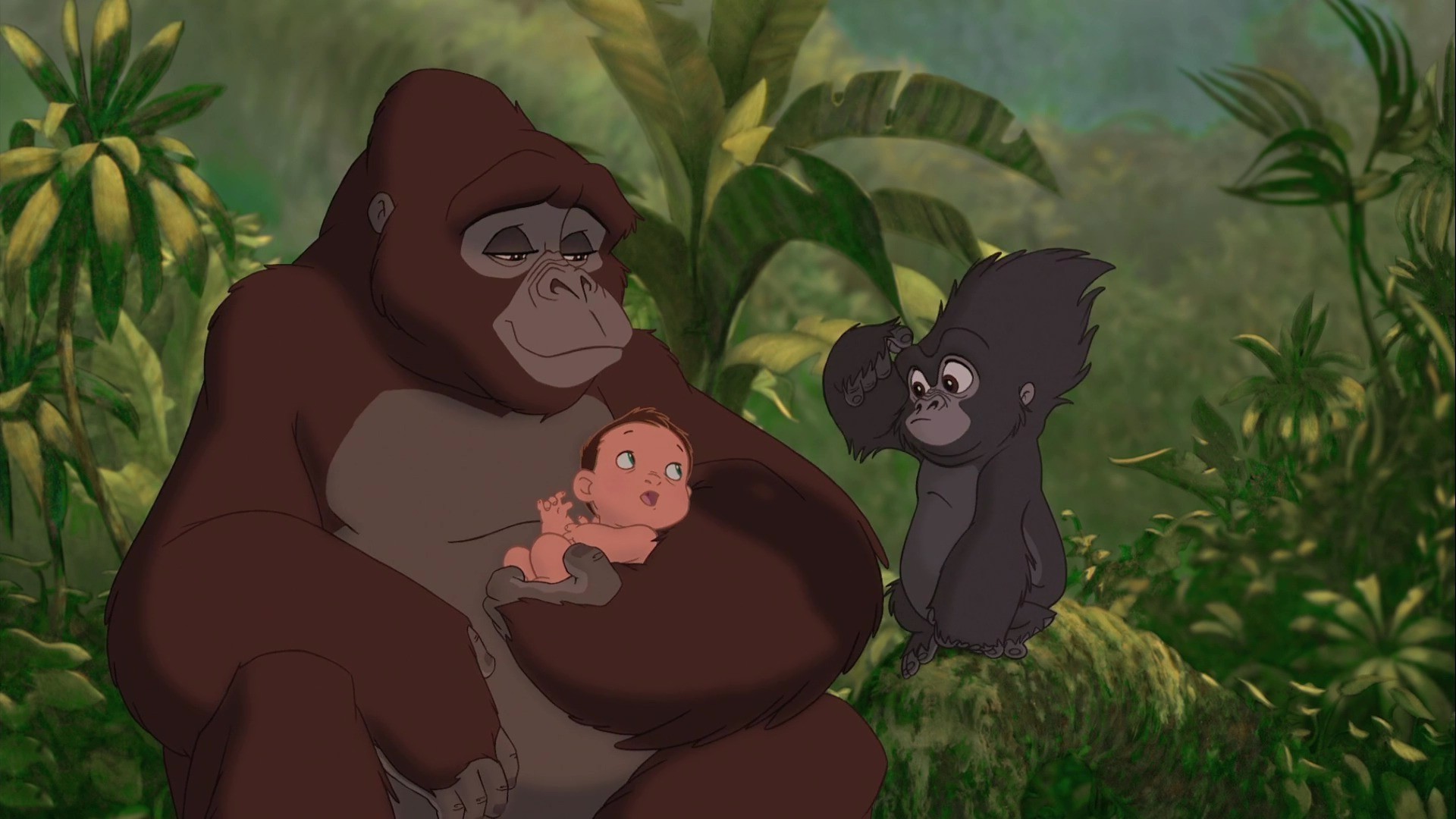A shot from the cartoon "Tarzan" with a baby and two gorillas wal...