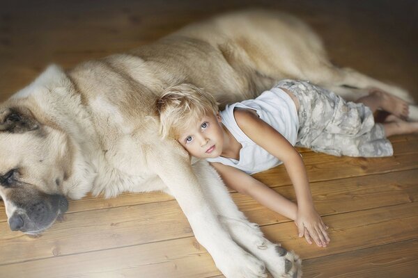 Un garçon se trouve près d un chien bien-aimé