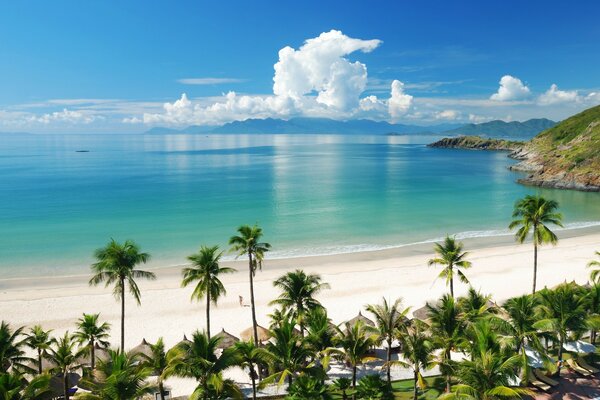 Small huts along the seashore in the tropics