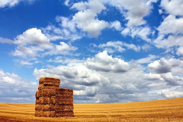 The harvested hay is waiting in the wings