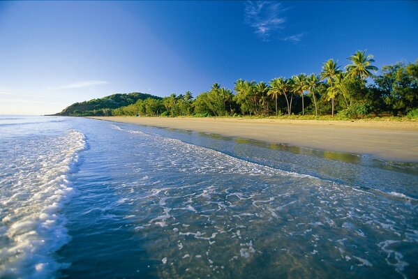 Ondas espumosas rolam na costa de uma ilha tropical