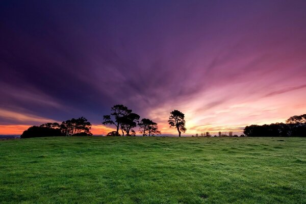 Ciel rouge au coucher du soleil sur le champ vert