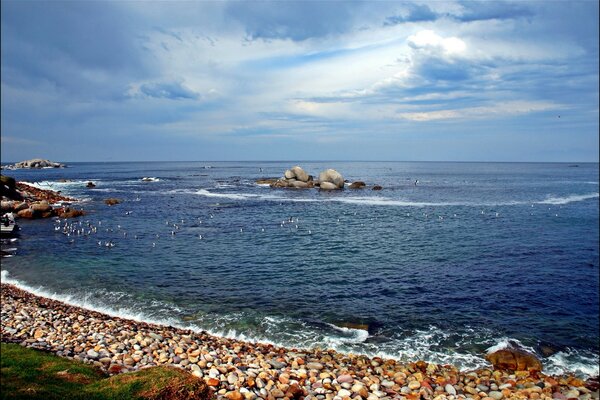 轻海风在岩石海滩上