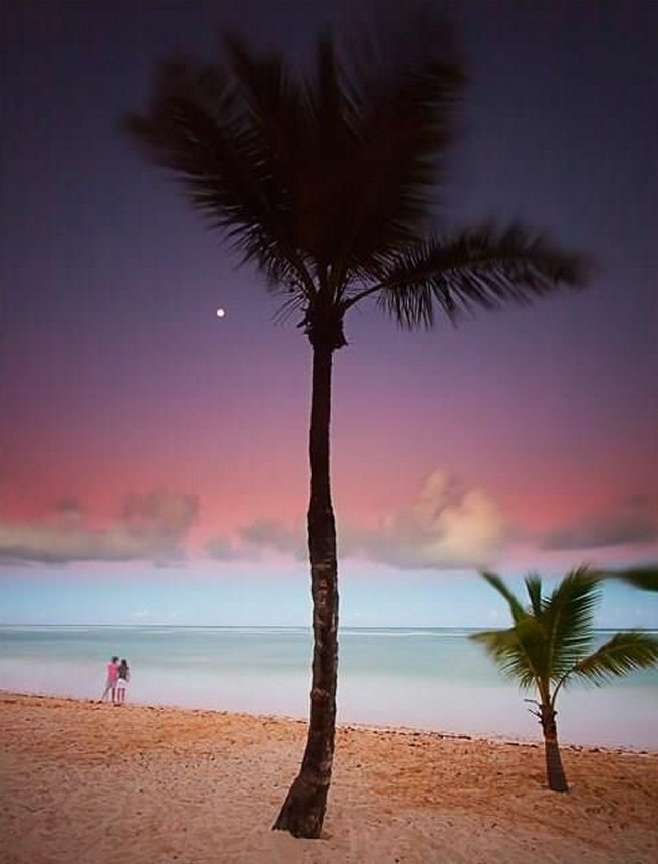 berühmte orte strand sand tropisch ozean meer sonne palmen sommer wasser landschaft insel sonnenuntergang idylle baum kokosnuss reisen exotisch urlaub paradies