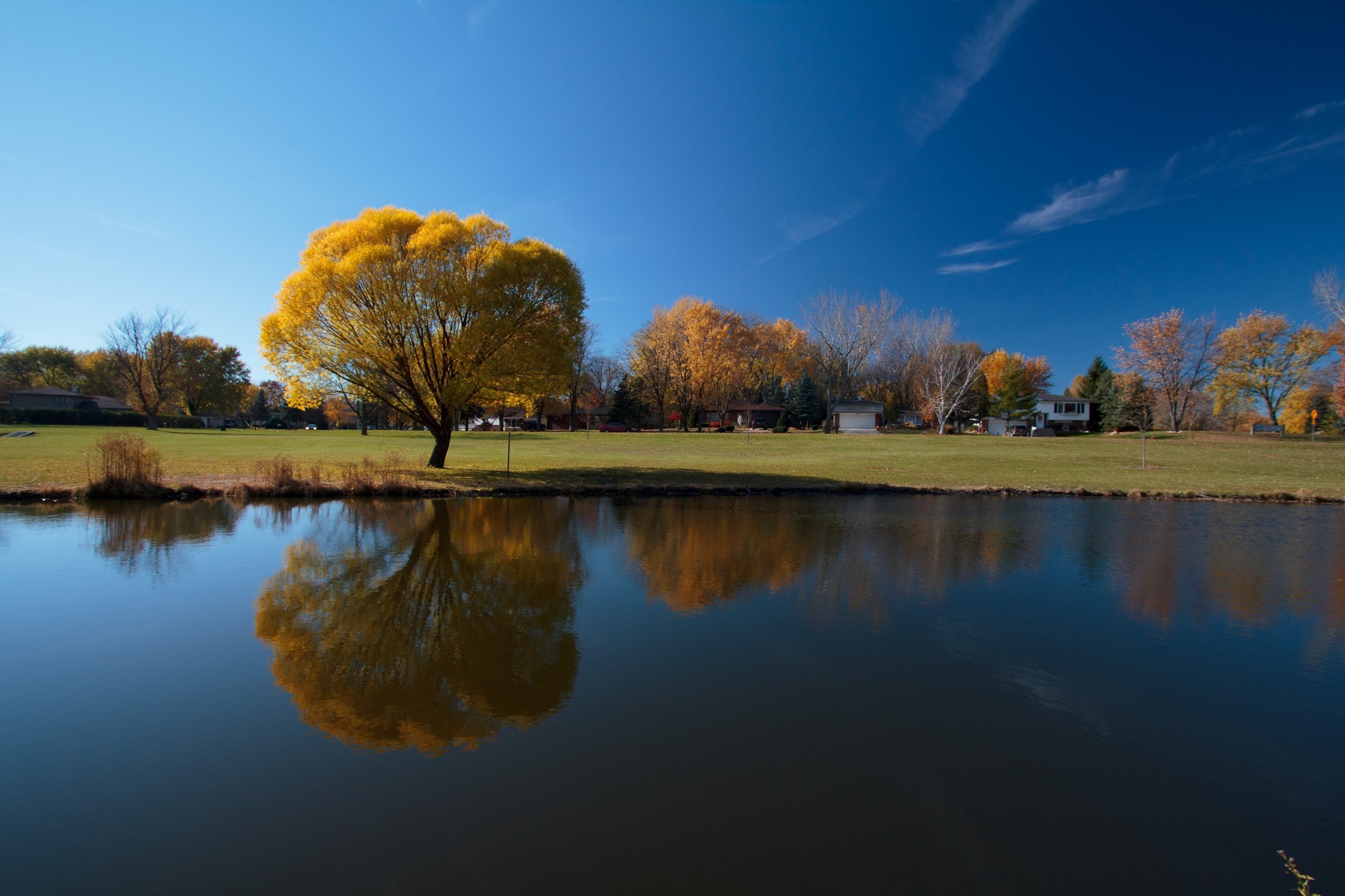 деревья осень небо озеро загрузить