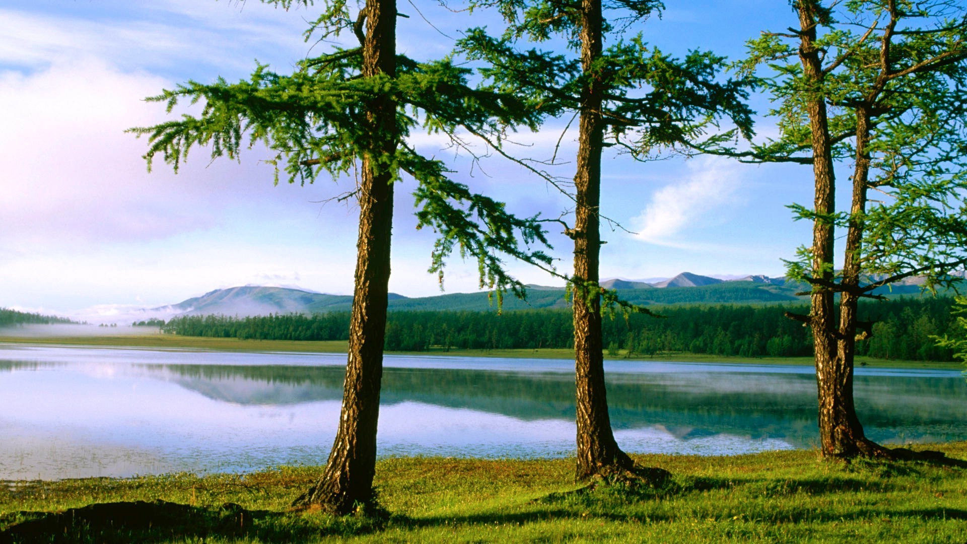 see baum wasser landschaft natur holz reflexion im freien sommer landschaftlich himmel kiefer park gras schön umwelt reisen