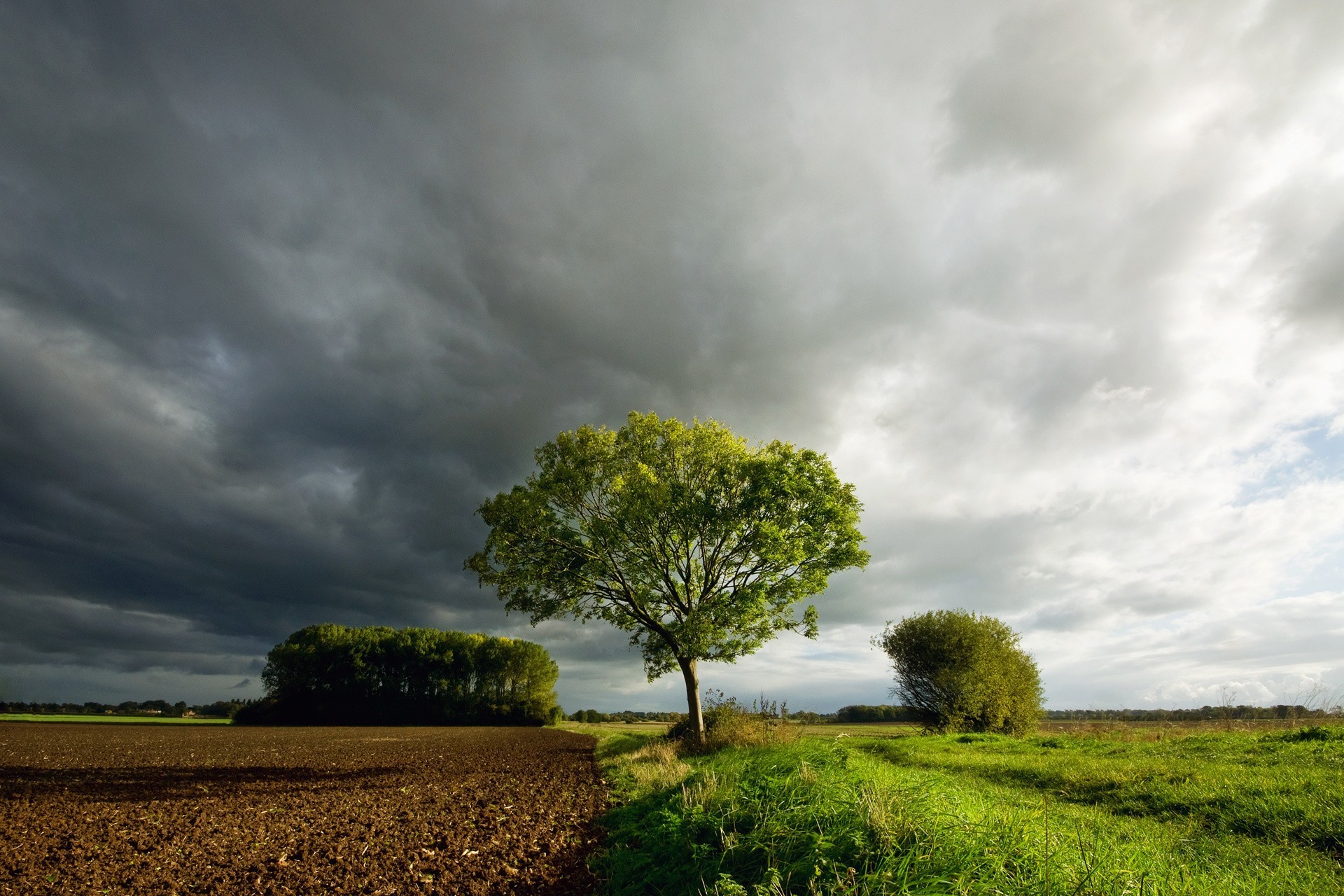 arbres paysage ciel arbre nature rural campagne tempête champ herbe nuage coucher de soleil à l extérieur l agriculture soleil ferme nuageux aube été bois