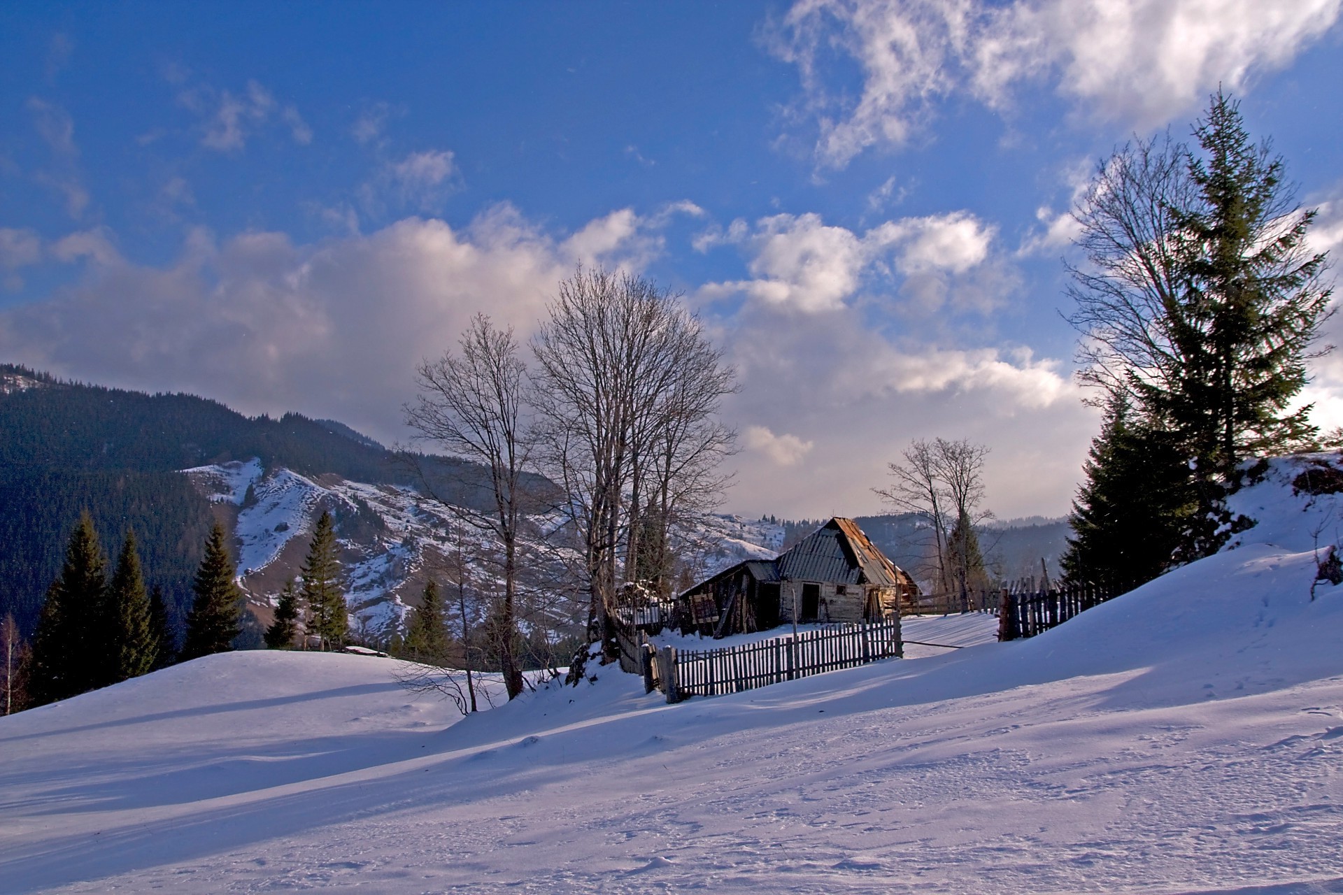 fields meadows and valleys snow winter cold mountain wood frozen ice tree scenic frost snowy landscape chalet resort evergreen hut hill weather track season