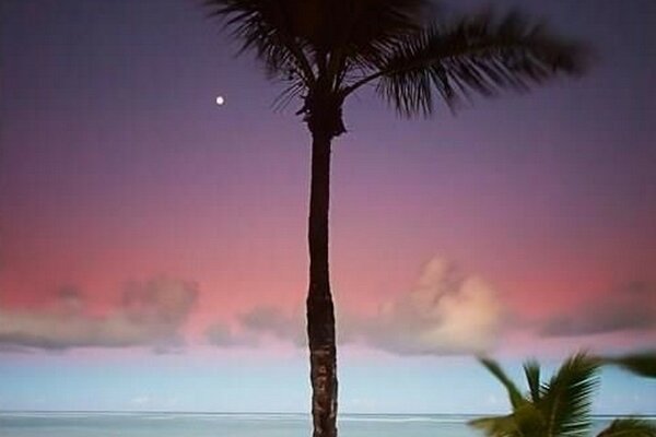 Sunrise on the ocean with a beautiful sky and palm trees