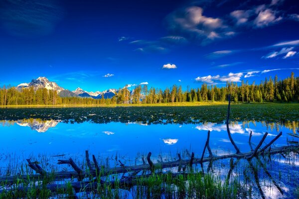 Lake and reflection in the water while traveling in nature