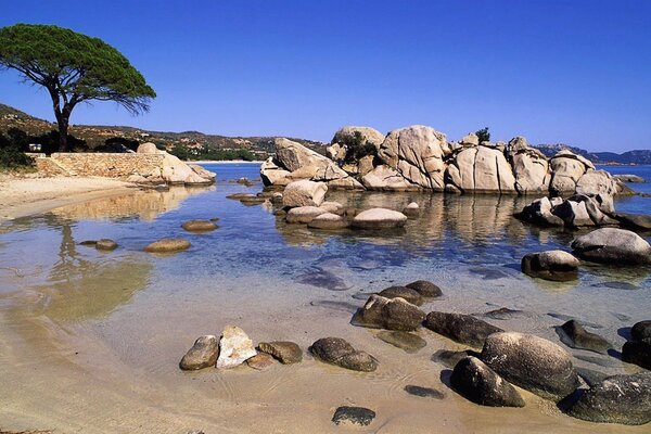 Mer calme, plage avec banc de sable