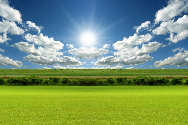 Ländliche Sommerlandschaft des Grases auf dem Heuhaufen