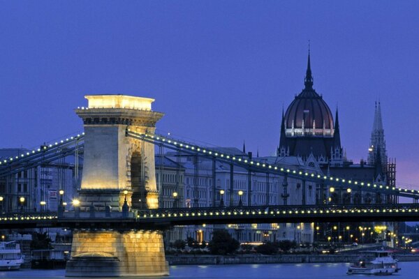 Evening city with a bridge and a tower