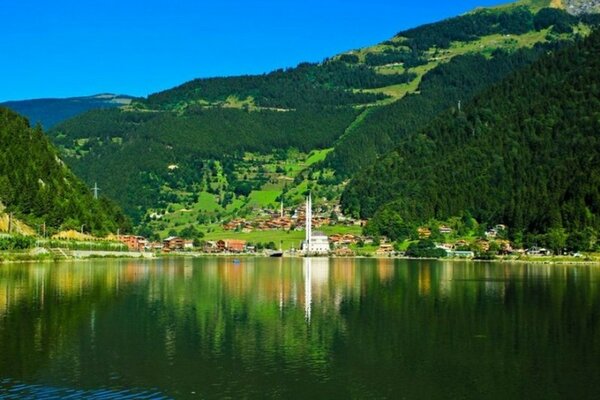 Quiet bay, green slopes