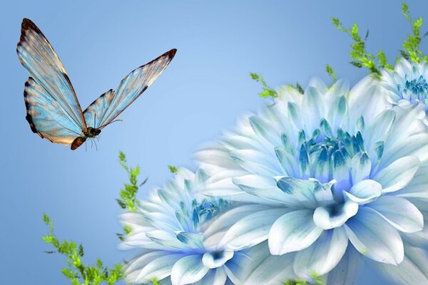 Ein blauer Schmetterling fliegt zur blauen Blume