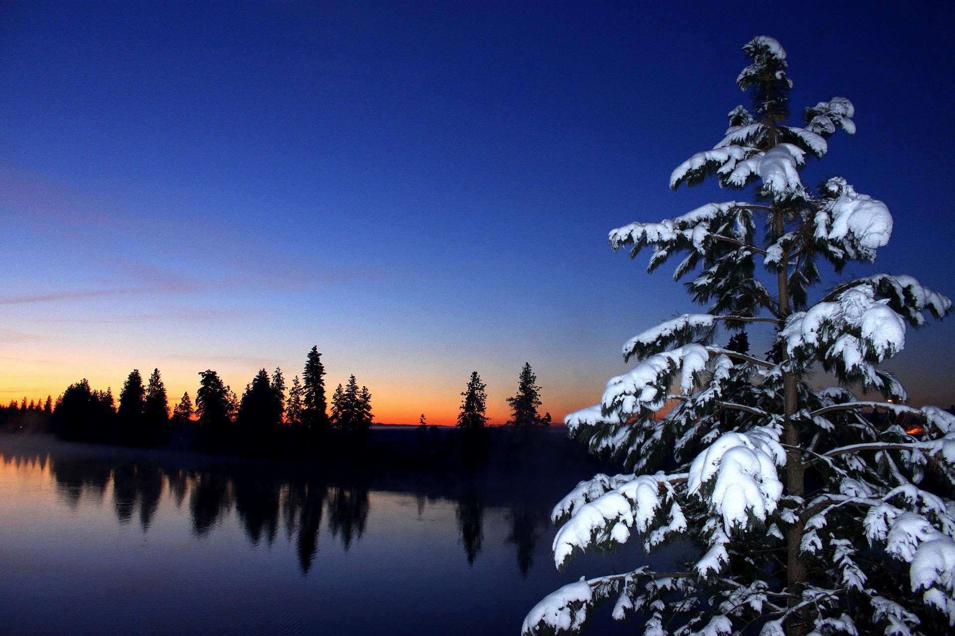 lago neve inverno albero paesaggio evergreen legno freddo conifere alba all aperto scenico natura tempo gelo riflessione cielo