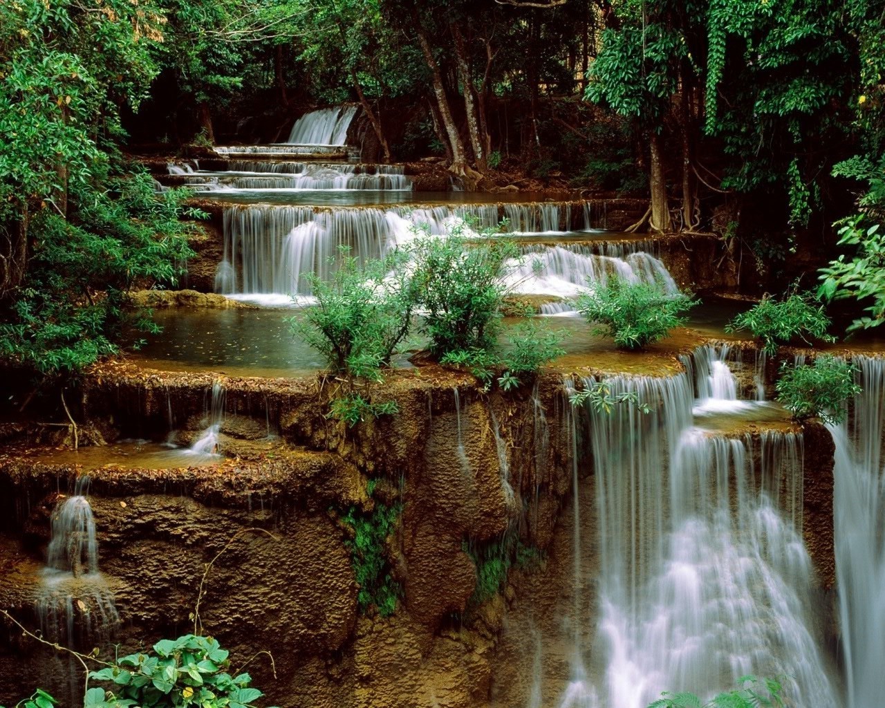 cascate acqua cascata natura flusso bagnato fiume tropicale legno foglia autunno pietra cascata piscina flusso all aperto parco creek roccia viaggi