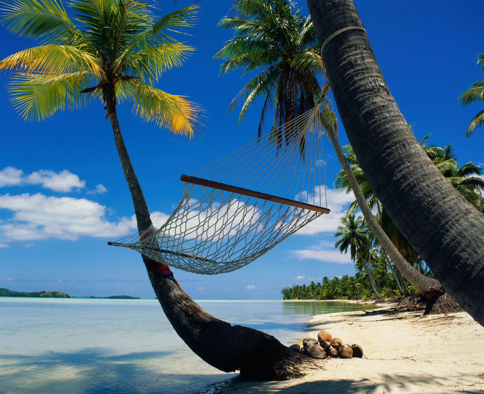 meer und ozean palmen tropisch strand ozean exotisch sand wasser kokosnuss meer urlaub paradies resort insel reisen entspannung meer sommer türkis himmel