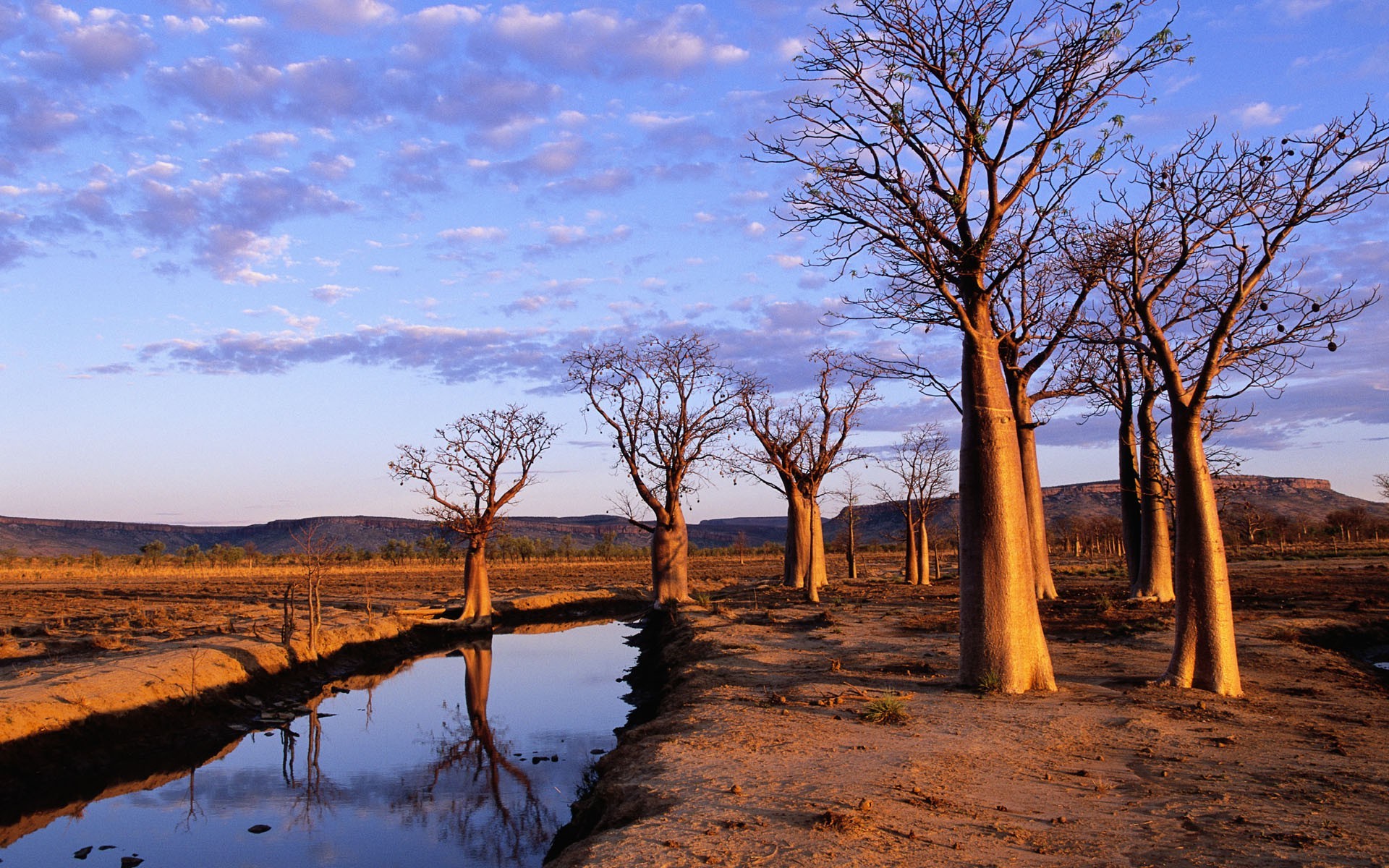 bäume landschaft dämmerung baum natur sonnenuntergang himmel im freien wasser holz reisen gutes wetter sonne reflexion landschaftlich abend see