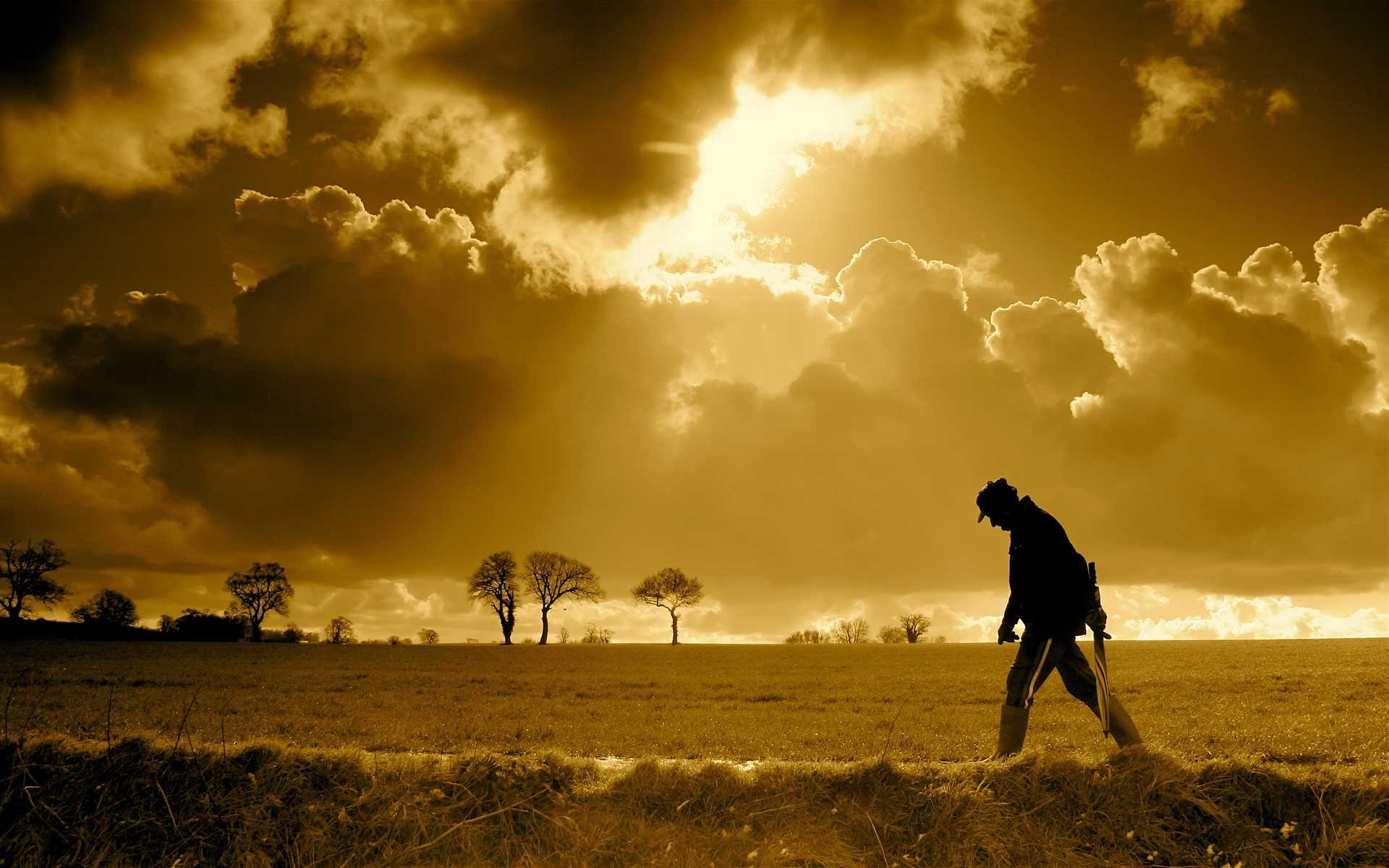 desert sunset dawn sun silhouette sky landscape backlit evening dusk storm nature fair weather dramatic outdoors