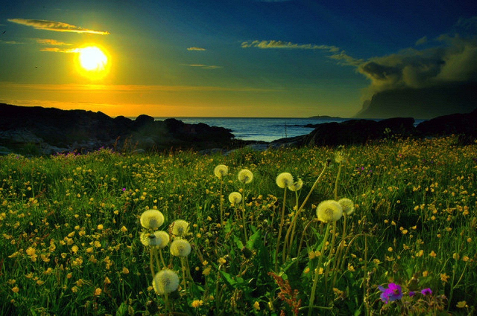 puesta de sol y amanecer sol campo naturaleza paisaje amanecer hierba verano puesta de sol flor heno buen tiempo pastizales cielo rural al aire libre