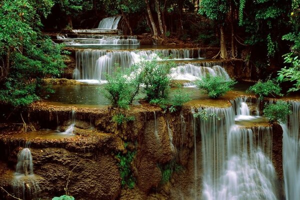 Невеликі водоспади посеред лісу