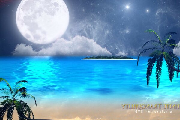 Sea palm trees moon desktop